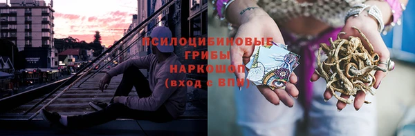 мет Бородино