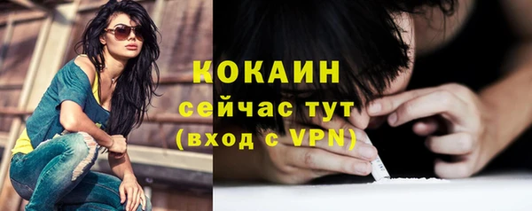 индика Верхний Тагил