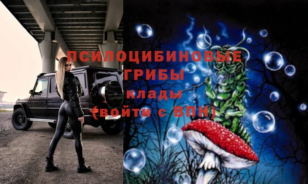 бошки Бронницы