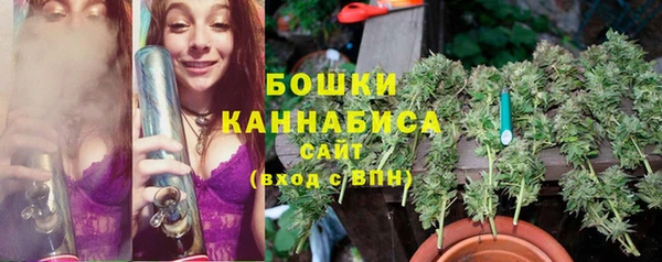 индика Верхний Тагил
