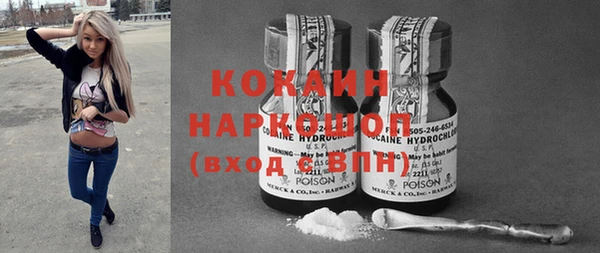 индика Верхний Тагил