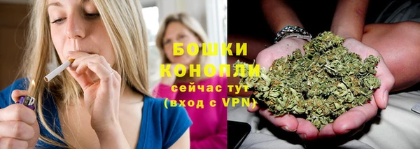 мет Бородино