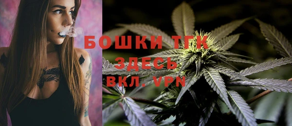 индика Верхний Тагил